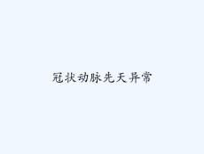 冠状动脉先天异常 ppt