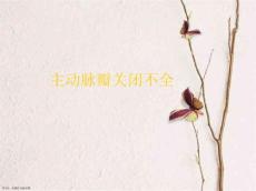 主动脉瓣关闭不全