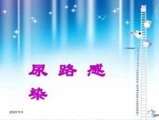 尿路感染课件