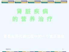 肾病营养治疗