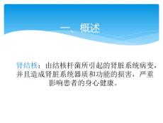 肾结核诊断与治疗