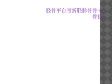 胫骨平台骨折胫腓骨骨干骨折