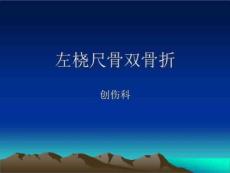 《左桡尺骨双骨折》PPT课件