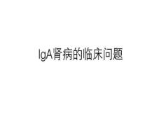 IgA肾病的临床问题