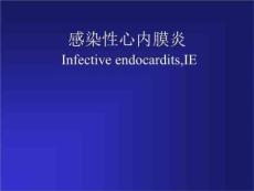 l感染性心内膜炎