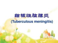 结核性脑膜炎PPT课件