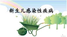 新生儿感染性疾病