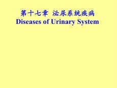 病理学肾小球肾炎与肾盂肾炎