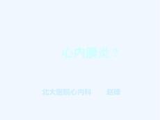 北医心内膜炎赵锋