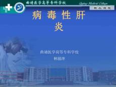 病毒性肝炎课件  病毒性肝炎