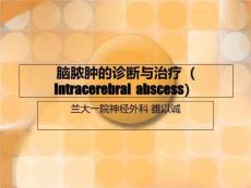脑脓肿的诊断与治疗