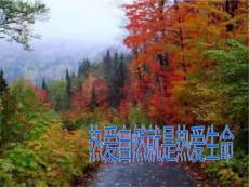 腰腿痛鉴别诊断