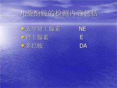 儿茶酚胺及儿茶酚胺代谢产物