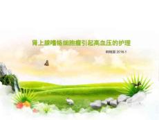 嗜铬细胞瘤-韩晓园