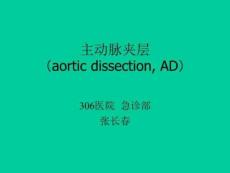 主动脉夹层动脉瘤