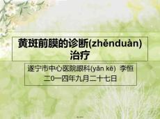 黄斑前膜幻灯片