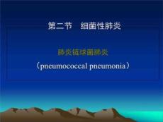 《大叶性肺炎》PPT课件