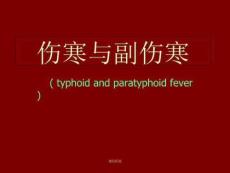 《伤寒与副伤寒》PPT课件