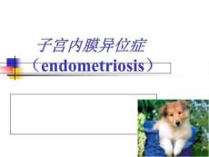 ByZig子宫内膜异位症