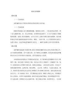 眼眶皮样囊肿