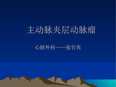 主动脉夹层动脉瘤