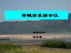 脊髓拴系综合征手术治疗