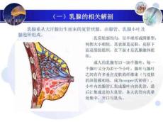 乳腺增生PPT课件