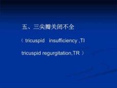 三尖瓣、肺动脉瓣关闭不全、老年性新瓣膜病变课件