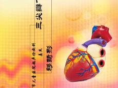 三尖瓣下移畸形的超声诊断