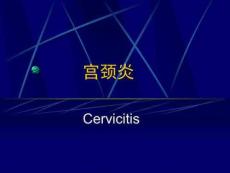 宫颈炎症-宫颈炎