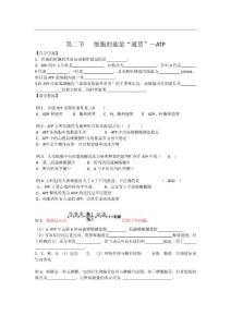 2012年生物同步學案：5.2《細胞的能量“通貨”—ATP》（新人教版必修1）