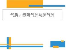 气胸纵隔气肿与肺气肿ppt课件