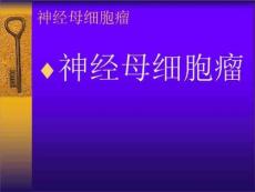 肾神经母细胞瘤课件PPT课件