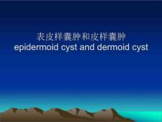 表皮样囊肿和皮样囊肿
