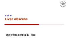 肝脓肿医学教学课件