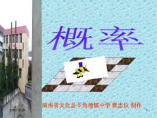 湘教版数学九年级上册“概率”