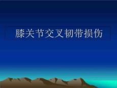 膝关节交叉韧带损伤