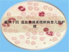 营养性贫血、造血特点、小儿贫血概述