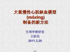 大鼠慢性心肌缺血xin