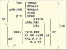 《白细胞减少症》PPT课件