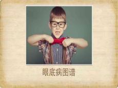 《眼底病图谱》PPT课件