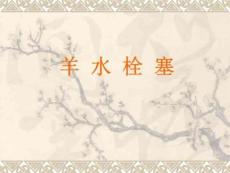 《羊水栓塞》PPT课件