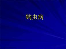 《钩虫病分析》PPT课件