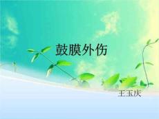 《鼓膜外伤完整》PPT课件