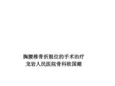 《胸腰椎骨折手术》PPT课件