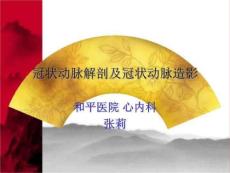 冠状动脉解剖及冠状动脉造影-教学课件精选