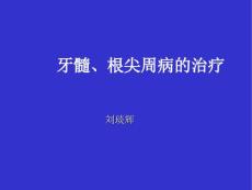 牙髓根尖病的治疗