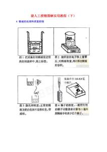 猪人工授精图解实用教程 下