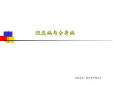 眼底病与全身病课件