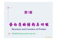 《生物化学》课程教学课件 第一章 蛋白质的结构与功能(104P)